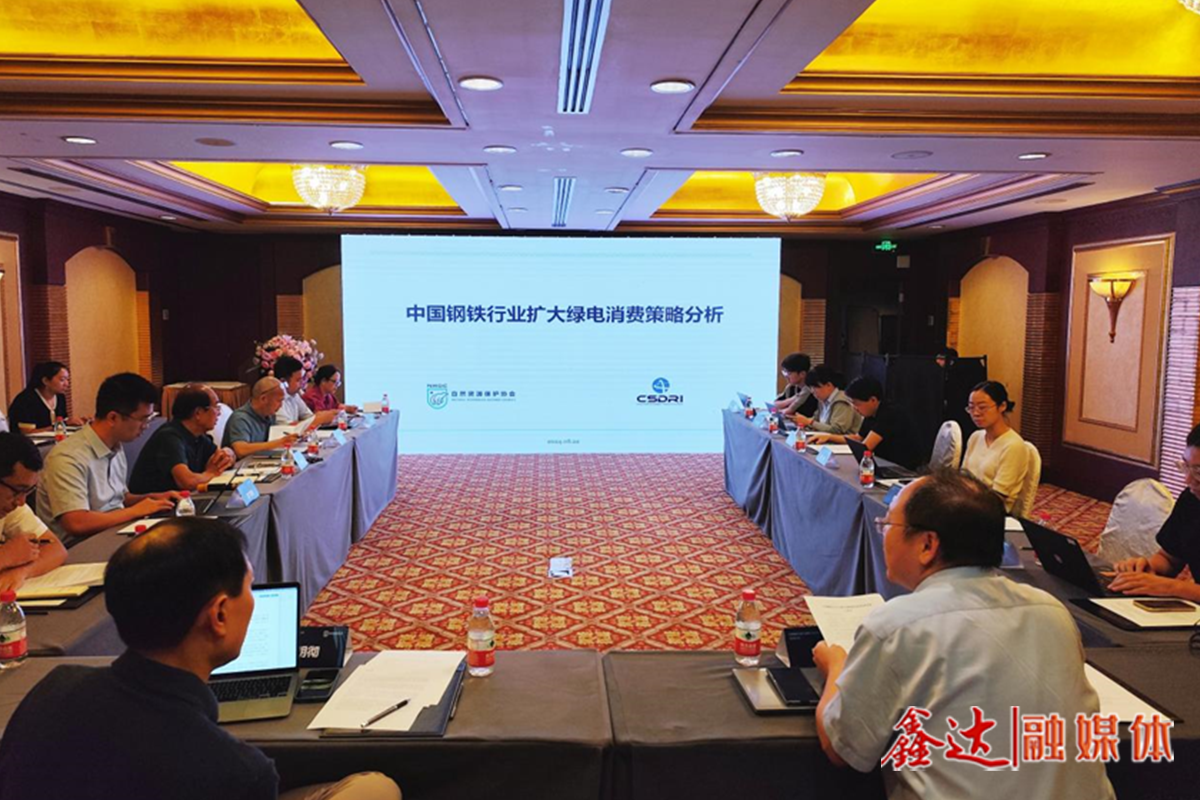 How to make better use of green electricity as a carbon reduction tool? -- Side note of the seminar on "Strategy Analysis of Expanding green Electricity Consumption in China's Steel Industry"